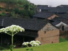 -公盂村