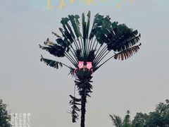 -中国科学院西双版纳热带植物园