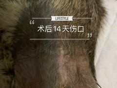-北京观赏动物医院·24小时大型综合·猫专科·异宠专科