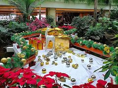 -广州白天鹅宾馆