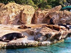 -珠海长隆海洋王国
