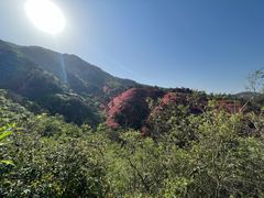 -木兰云雾山