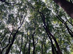 -同里国家湿地公园