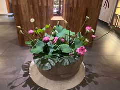 -翁暖茶馆(滨江东总店)