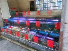 水产区-金海湾海鲜排档(朱家尖店)
