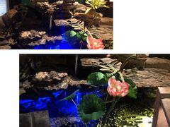 -佬麻雀·新湘菜(珠海金发购物中心店)