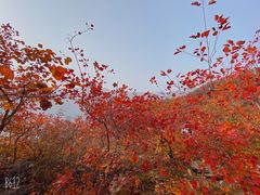 -周口店坡峰岭风景区