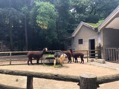-昆明动物园