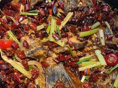 -老板恋上鱼(恒隆广场店)