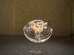 -鸿山遗址博物馆