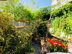 -斯多格书乡(北京大学畅春园店)