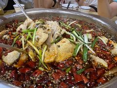 -乡土特色.冷锅鱼.牦牛肉汤锅