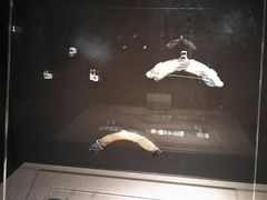 -荆州博物馆