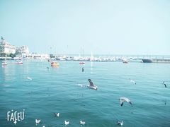 -大连圣亚海洋世界