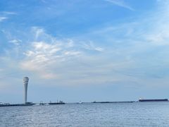 -上海吴淞炮台湾国家湿地公园