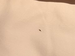 -九华山聚龙大酒店