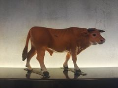 -林记潮牛·牛肉火锅(上马墩店)
