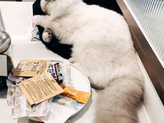 -FULL MOON满月咖啡