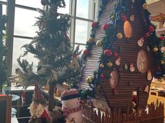 -视界美食自助餐厅·石家庄希尔顿酒店