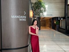 -新加坡乌节希尔顿酒店 (SG Clean)