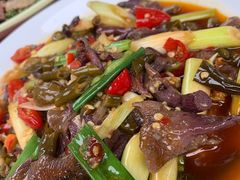 -铁山坪森林公园