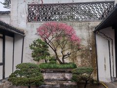 -上海鲁迅故居