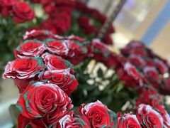 -ROSEONLY诺誓(青岛万象城店)