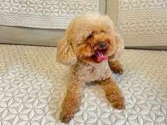 -宠福鑫康馨动物医院·骨科·眼科