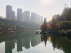 -重庆彩云湖湿地公园