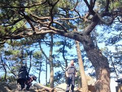-罗田薄刀峰风景区