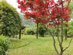-黄公望隐居地