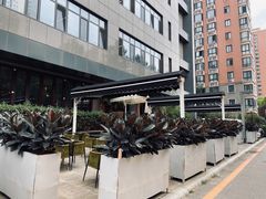 -the rug 飞毯 (朝阳公园店)