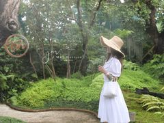 -Chom Cafe and Restaurant