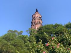 -顺峰山公园