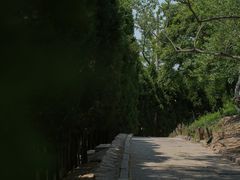 -观象山公园