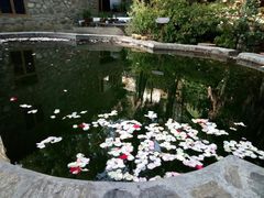 -寂照庵
