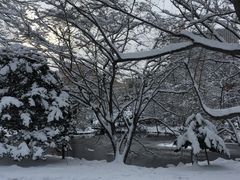 -北海道厅旧本厅舍(旧本庁舎)