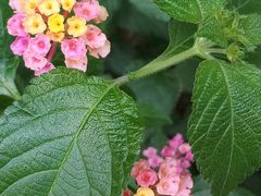 -苏州河梦清园环保主题公园