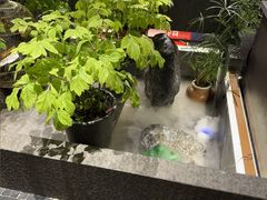 -杏花村水席楼·洛阳水席(老城十字街店)