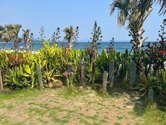 -大梅沙海滨公园