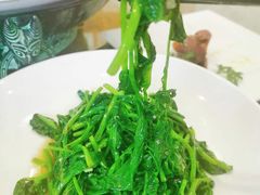 -食神鱼头佛跳墙(百子湾旗舰店)