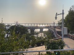 -宝安西湾红树林湿地公园