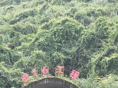 -816工程景区