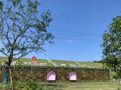 -佛手湖郊野公园