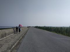 -南汇嘴观海公园