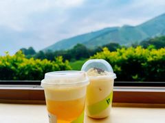 -白茶原·一片叶子
