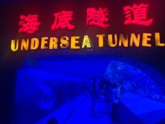 -太平洋海底世界