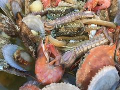 -大锅强·蒸海鲜青岛菜(吾悦广场店)