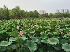 -太阳宫公园