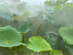 -嘉北郊野公园